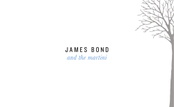 JAMES BOND and the martini