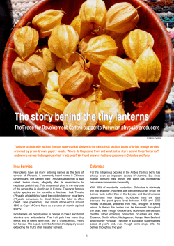 Flora Cyclam - Trade for Development Centre