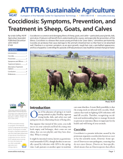 PDF - ATTRA - National Center for Appropriate Technology