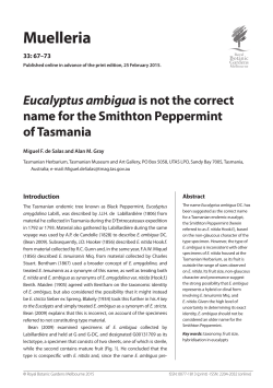 Eucalyptus ambigua is not the correct name for the Smithton