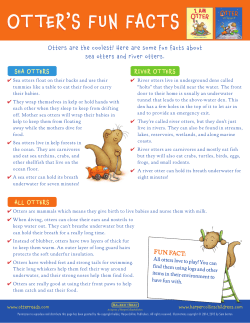 OTTER`S FUN FACTS