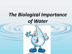 Why is water important?