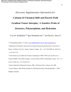 Electronic Supplementary Information for