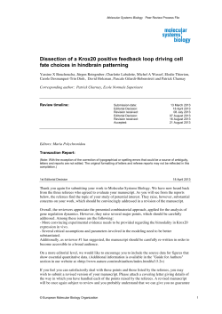 Dissection of a Krox20 positive feedback loop driving cell fate