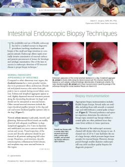 Intestinal Endoscopic Biopsy Techniques