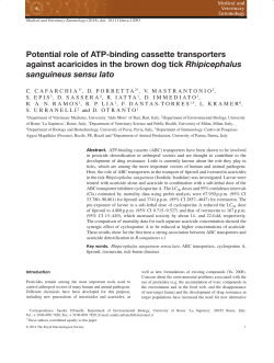 Potential role of ATP-binding cassette transporters against