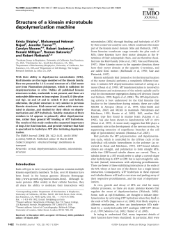 Structure of a kinesin microtubule depolymerization machine