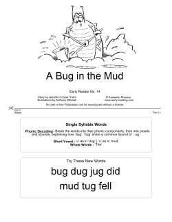 A Bug in the Mud bug dug jug did mud tug fell