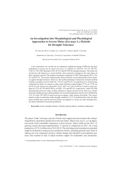 An investigation into morphological and physiological approaches to