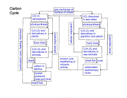 CO2 in atmosphere photosynthesis C6H12O6 and derivatives in