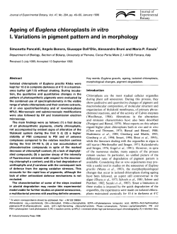 Ageing of Euglena chloroplasts in vitro I. Variations in pigment