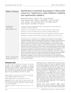 Identification of potential drug targets in Salmonella