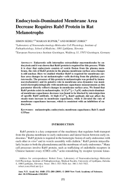 Endocytosis-Dominated Membrane Area Decrease Requires Rab5