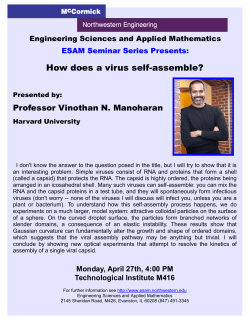 How does a virus self-assemble?