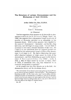 The Structure of certain Chromosomes and the Mechanism of their