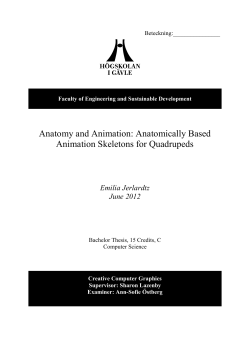 Anatomy and Animation: Anatomically Based Animation Skeletons