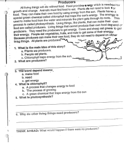 Producers - WordPress.com