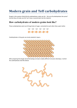 Modern grain and Teff carbohydrates - Teff