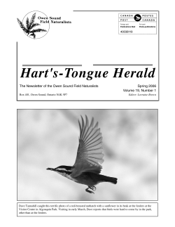Hart`s-Tongue Herald - Owen Sound Field Naturalists