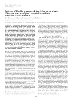 Patterns of kinship in groups of free-living sperm