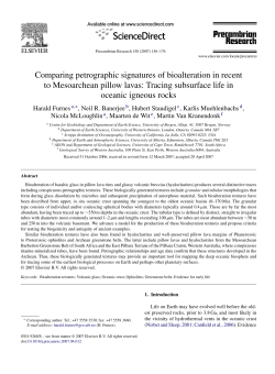 Comparing petrographic signatures of bioalteration in recent to