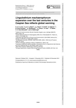 Printer-friendly Version