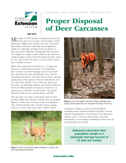 Proper Disposal of Deer Carcasses