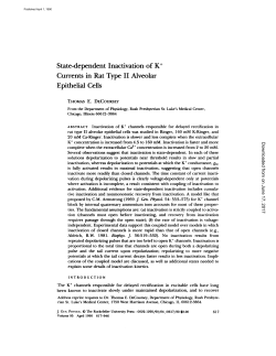 State-dependent Inactivation of K + Currents in Rat Type II Alveolar