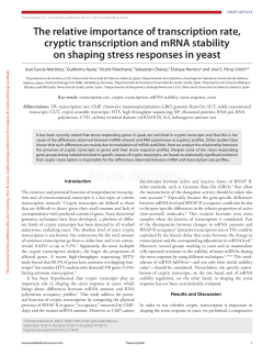 The relative importance of transcription rate, cryptic