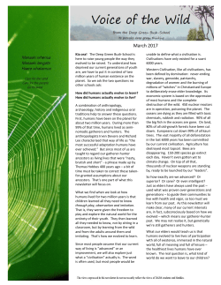 File - Deep Green Bush