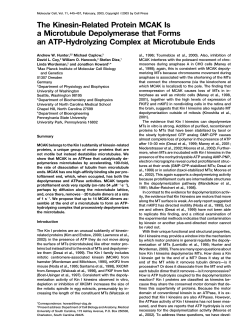 The Kinesin-Related Protein MCAK Is a Microtubule Depolymerase