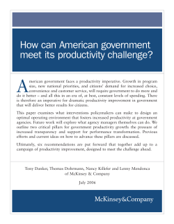 How can American Government meet its productivity