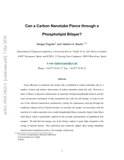 Can a Carbon Nanotube Pierce through a Phospholipid Bilayer?