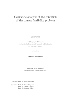 PhD Thesis "Geometric analysis of the condition of the convex