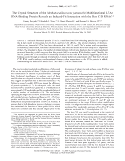 The Crystal Structure of the Methanocaldococcus jannaschii