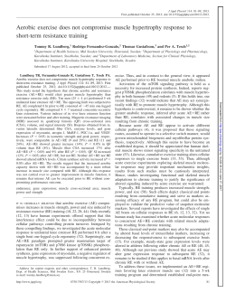 Aerobic exercise does not compromise muscle hypertrophy