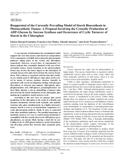 Reappraisal of the Currently Prevailing Model of Starch Biosynthesis