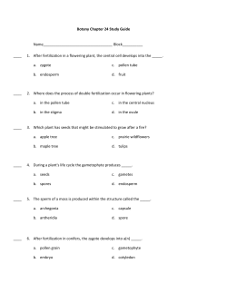 Botany Chapter 24 and PS Study Guide
