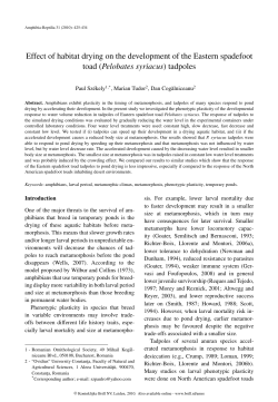 Effect of habitat drying on the development of the Eastern spadefoot