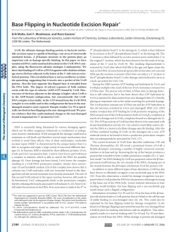Base Flipping in Nucleotide Excision Repair