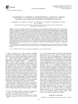CONDITIONALLY IMMORTAL NEUROEPITHELIAL STEM CELL