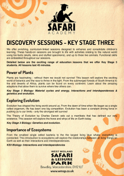 KS3 - Safari Academy
