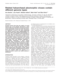 Related haloarchaeal pleomorphic viruses contain different genome