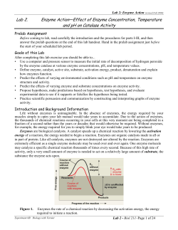 Lab 2 Enzymes