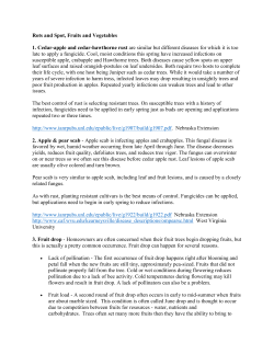 Rots and Spot, Fruits and Vegetables 1. Cedar