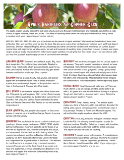 Apple Varieties at Gopher Glen