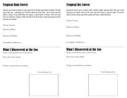 Tropical Rain Forest What I Discovered at the Zoo Tropical Dry