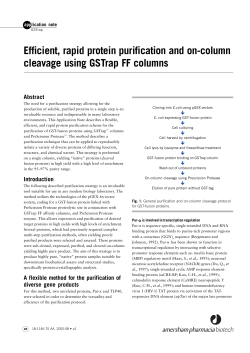 Efficient, rapid protein purification and on