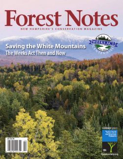 Special Weeks Act issue - Society for the Protection of New