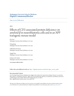 Effects of CD2-associated protein deficiency on